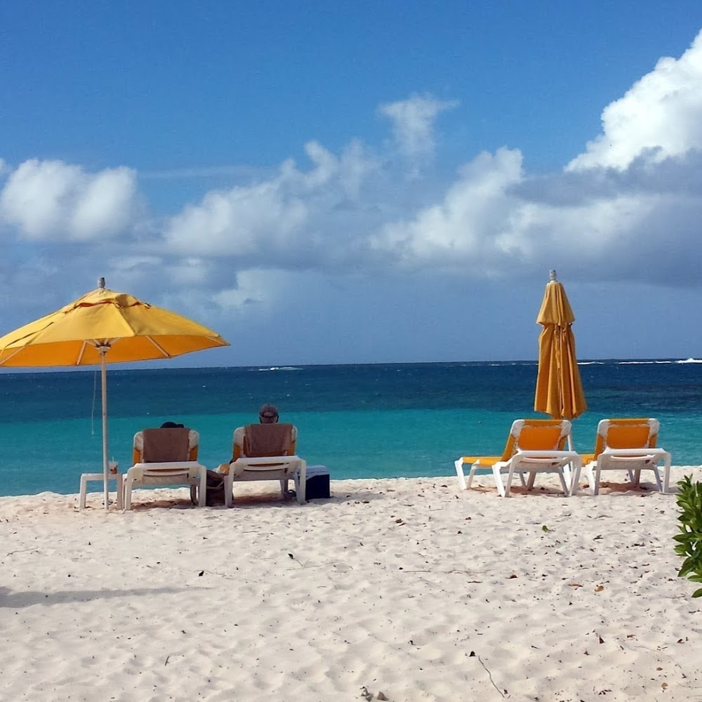 Meet your Posher, Harriet